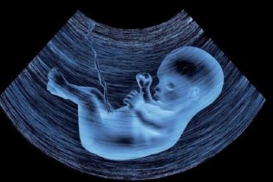 Ημερολόγιο των 9 υπέροχων μηνών της εγκυμοσύνης!