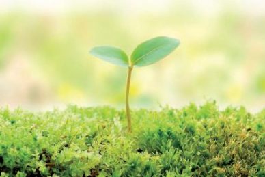 Εξωσωματική Γονιμοποίηση: Συχνές ερωτήσεις & οι απαντήσεις τους