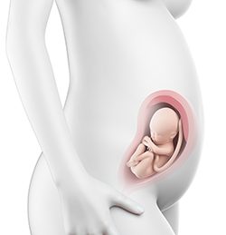 28η Εβδομάδα Κύησης (190η έως 196η Ημέρα)