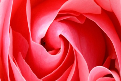 ΕΠΙΣΤΗΜΟΝΙΚΗ ΔΙΑΛΕΞΗ: 