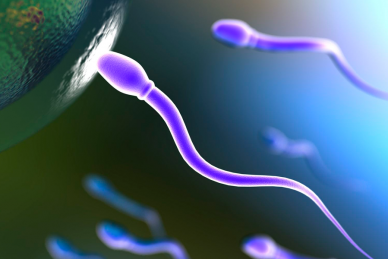 ΕΠΙΣΤΗΜΟΝΙΚΗ ΔΙΑΛΕΞΗ 12/06 