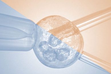 ΕΠΙΣΤΗΜΟΝΙΚΕΣ ΔΙΑΛΕΞΕΙΣ 4/06 