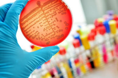 ΕΠΙΣΤΗΜΟΝΙΚΗ ΔΙΑΛΕΞΗ: 