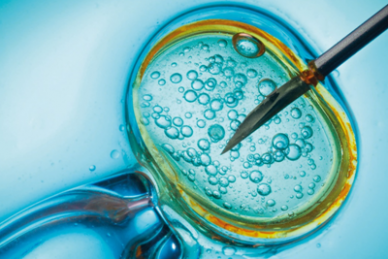 ΕΠΙΣΤΗΜΟΝΙΚΗ ΔΙΑΛΕΞΗ 4-11