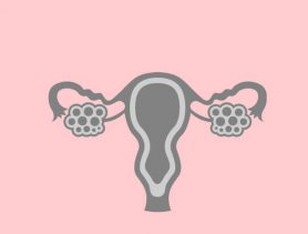 ΕΠΙΣΤΗΜΟΝΙΚΗ ΔΙΑΛΕΞΗ 27/01 